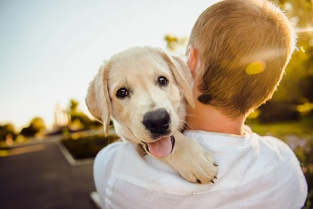 10 Best Breeds for First-Time Dog Guardians