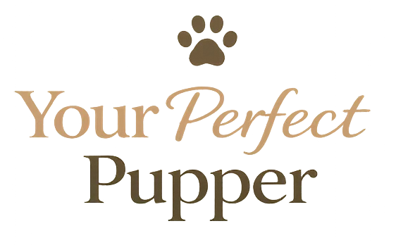 Your Perfect Pupper